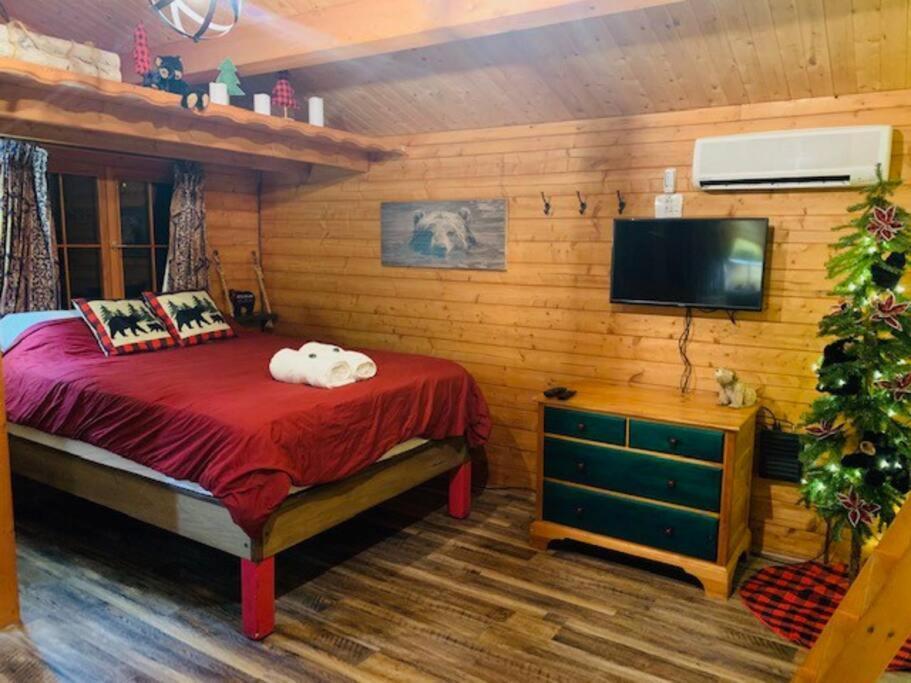Honeybear Hideaway Cabin Hayward Εξωτερικό φωτογραφία