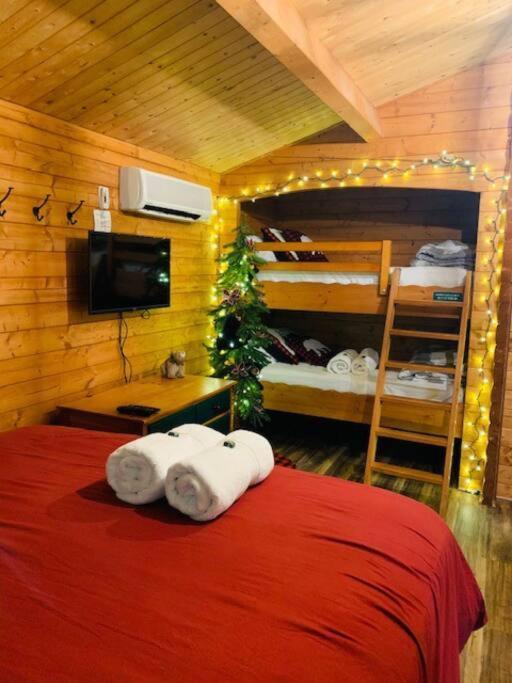 Honeybear Hideaway Cabin Hayward Εξωτερικό φωτογραφία