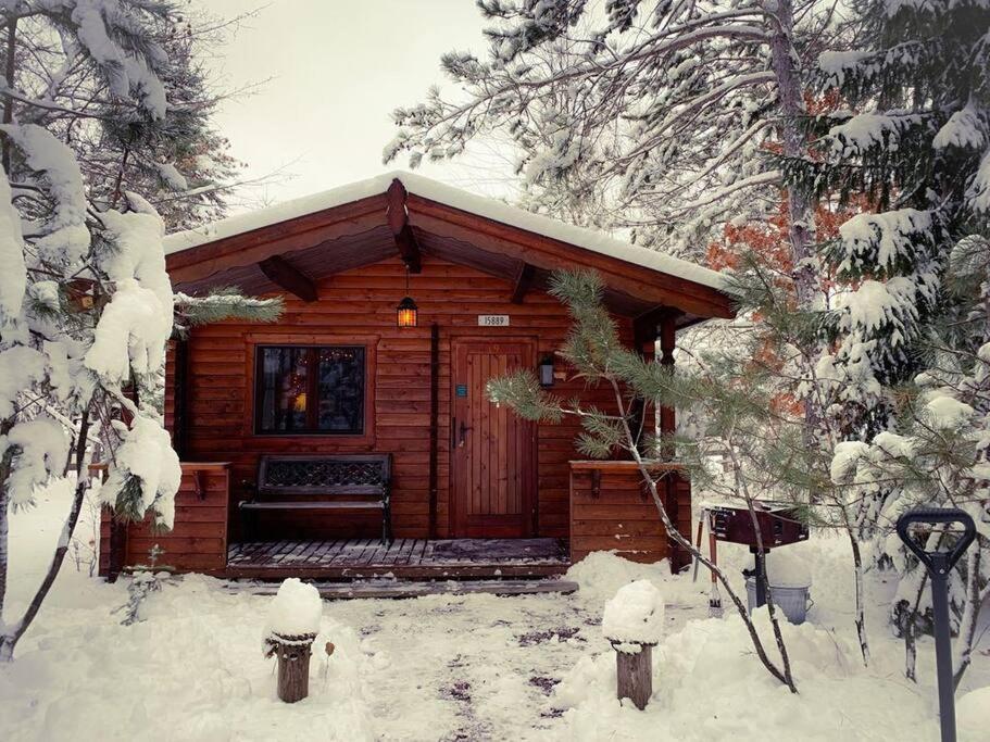 Honeybear Hideaway Cabin Hayward Εξωτερικό φωτογραφία