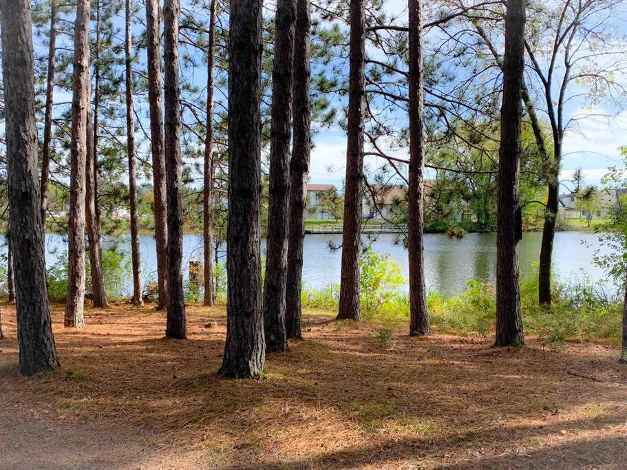 Honeybear Hideaway Cabin Hayward Εξωτερικό φωτογραφία