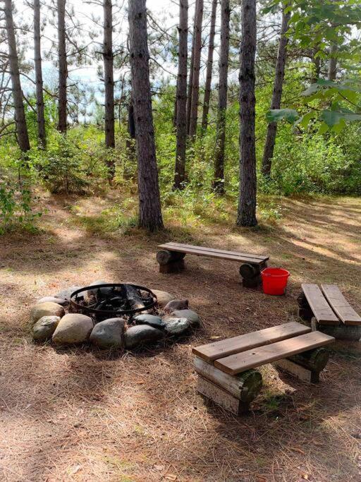 Honeybear Hideaway Cabin Hayward Εξωτερικό φωτογραφία