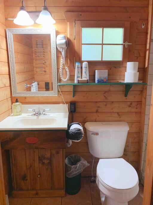 Honeybear Hideaway Cabin Hayward Εξωτερικό φωτογραφία