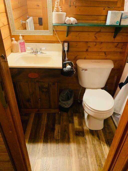 Honeybear Hideaway Cabin Hayward Εξωτερικό φωτογραφία